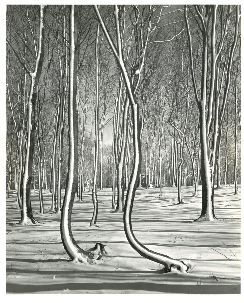 02-008 (click for large image)